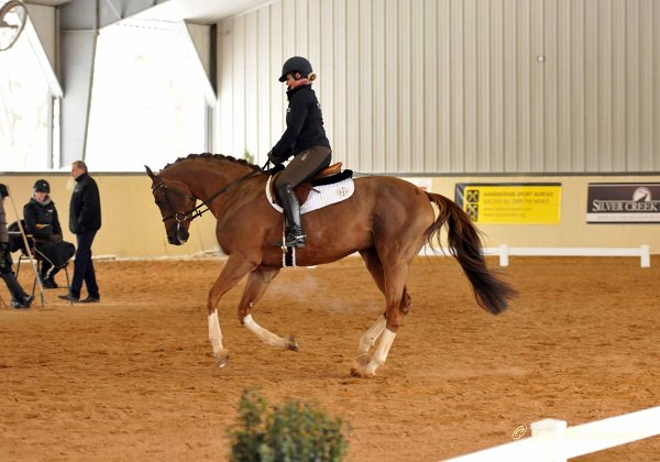 NA Stallion Test - 2013