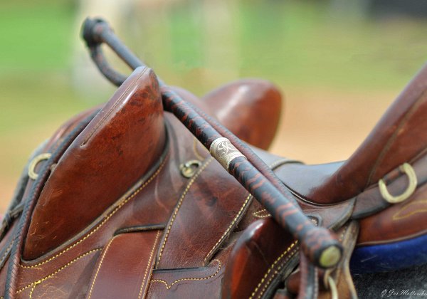 Whips, Spurs and Saddles